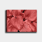 Pilt l&otilde;uendil Punased lehed