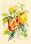 Tikkimiskomplekt Magic Needle "Pepper" 100-211