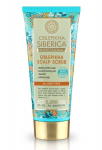 Mask peanahale Natura Siberica Oblepikha 200 ml