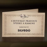 H&otilde;bedased k&otilde;rvar&otilde;ngad naistele Silvego SILVEGOB380095 sSL3503