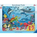 pusle ravensburgeri raam, 30 tk vee all