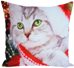 Dekoratiivne padjap&uuml;&uuml;r