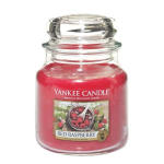 L&otilde;hnak&uuml;&uuml;nal Yankee Candle Punase vaarika k&uuml;&uuml;nal, 104g