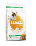 Iams ProActive Health v&auml;ikest ja keskmist t&otilde;ugu t&auml;iskasvanud koertele kanaga, 12 kg