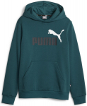 Puma Suur Logoiga Lastesvetari Kapuutsiga