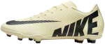 Nike Jalatsid Vapor 15 Club Fg/Mg Black Yellow DJ5963 700 DJ5963 700/10.5
