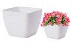 Lillepott alusega valge 18.7x17.3cm ruudukujuline plastikust lillepott