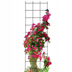 Aia pergola v&otilde;re ronimistaimedele 45x150
