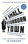 Small, Stubborn Town: Life, death and defiance in Ukraine