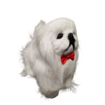 Interaktiivne kutsikas - Malta bichon - k&otilde;nnib ja haugub