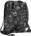 Starpak Holo kasside kingakott