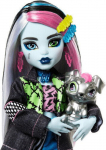 Nukk Monster High Core Frankie Stein