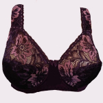 Rinnahoidja juria, Ploom