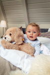 Steiff 28cm Good Night koer (sinine)