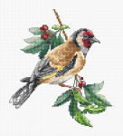 Luca-s ristpistes komplekt Goldfitz Bird, loendatud muster