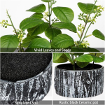 Arborus Ficus kunsttaimed potis, kunsttaimed nagu p&auml;ris potis, rohelised kunsttaimed seemnetega, 36 cm, dekoratiivtaimed laua kaunistamiseks, riiuli kaunistamiseks, aknalaua kaunistamiseks, ruumi