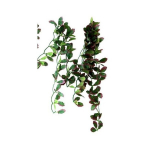 Rippuv taim Repti-Zoo Punane luuderohi, 40 cm, dekoratsioon terraariumile