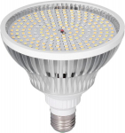 Planta A-41 taimekasvulamp