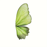 Kingitusepaber, Green Butterfly-10pcs