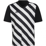 Laste T-s&auml;rk Adidas Entrada 22 Graafiline Jersey HF0123, must/valge