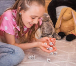Zygomatic Asmodee Story Cubes perem&auml;ng (saksa keeles)