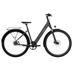 Elektrijalgratas TENWAYS CGO800S (2025) Midnight Black