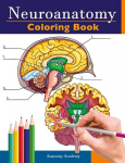 Neuroanatomy Coloring Book: Incredibly Detailed Self-Test Human Brain Coloring Book for Neuroscience | Perfect Gift for Medical School Students, Nurses, Doctors and Adults, Neuroanatomy Coloring Book: Incredibly Detailed Self-Test Human Brain Colorin ...
