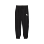 Naiste vabaajap&uuml;ksid PUMA SQUAD Pants TR PUMA Black - 68249501, must