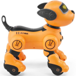 RC robotkoer: suhtlus ja programmeeritav