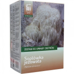 Seened Lion's Mane Hericium erinaceus