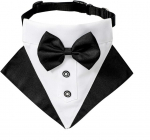 Koera &uuml;likonna bandana AnNissa, L