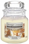 Yankee Candle l&otilde;hnak&uuml;&uuml;nal Glistening Christmas 104g