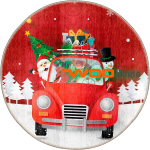 Asir kilimas Woobtny0322 110x110 cm