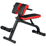 Hantelbank, Multifunktsionaalne treeningpink, Kokkupandav fitnesspink, koormus kuni 300 kg, teras, must