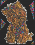 Colorvelvet Velvet Antistress Yorkshire terjeri v&auml;rvimisraamat