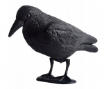 Linnupeletaja GardenGuard Raven, 35x22 cm