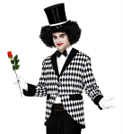 "ARLEQUIN" (frakk)