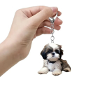 V&otilde;luv Shih Tzu koera v&otilde;tmehoidja