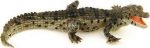 Popi noor krokodilli kujuke, kollektsioneeritav, 11,5 cm