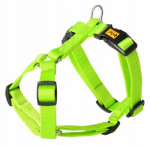 Dingo Guard Energy rakmed koertele, kaks rihma, roheline, suurus S