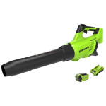 Akutoitega lehepuhur Greenworks G40ABK2II