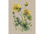 Ristpistes tikkimiskomplekt, RTO, 13,5x20 cm, BC8110