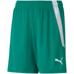 Puma teamLIGA Shorts Jr laste l&uuml;hikesed p&uuml;ksid, rohelised 704931 05
