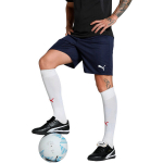 Puma Team Goal meeste tumesinised p&uuml;ksid 705752 06, L