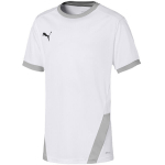 Puma laste s&auml;rk teamGOAL 23 Jersey valge 704160 04, 116 cm