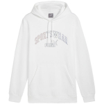 Puma Ess+ Logo LAB Gradient Hoodie FL meeste kapuutsiga pusa, valge, 681775 02, 2XL
