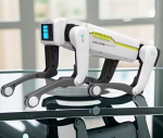 Interaktiivne robotkoer