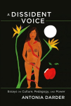 Dissident Voice: Essays on Culture, Pedagogy, and Power New edition