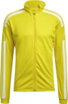 Meeste spordi dressipluus Adidas Squadra 21 GP6465, kollane