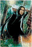 Maalimiskomplekt numbrite j&auml;rgi Severus Snape 50x34